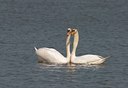 BUITEN BEELD Foto: 21399