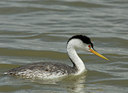 BUITEN BEELD Foto: 21439