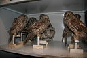 BUITEN BEELD Foto: 21455