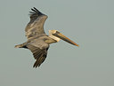BUITEN BEELD Foto: 21493