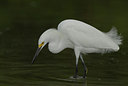 BUITEN BEELD Foto: 21506