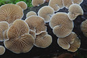 BUITEN BEELD Foto: 21542