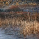 BUITEN BEELD Foto: 21578