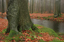 BUITEN BEELD Foto: 21582