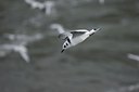 BUITEN BEELD Foto: 21627
