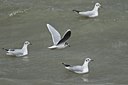 BUITEN BEELD Foto: 21638