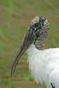 BUITEN BEELD Foto: 21682