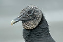 BUITEN BEELD Foto: 21688