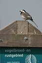 BUITEN BEELD Foto: 21695