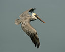 BUITEN BEELD Foto: 21709