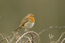 BUITEN BEELD Foto: 21710