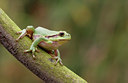 BUITEN BEELD Foto: 21764