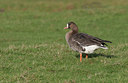 BUITEN BEELD Foto: 21782