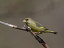 BUITEN BEELD Foto: 21832