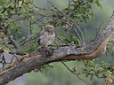 BUITEN BEELD Foto: 21835