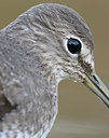 BUITEN BEELD Foto: 21840