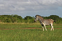 BUITEN BEELD Foto: 21876