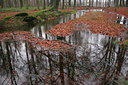 BUITEN BEELD Foto: 21900
