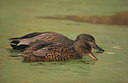 BUITEN BEELD Foto: 21904