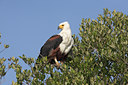 BUITEN BEELD Foto: 21933