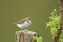 BUITEN BEELD Foto: 219014