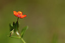 BUITEN BEELD Foto: 219045