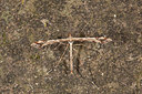 BUITEN BEELD Foto: 219053