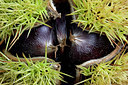 BUITEN BEELD Foto: 219062