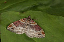 BUITEN BEELD Foto: 219076
