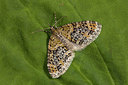 BUITEN BEELD Foto: 219083