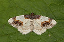 BUITEN BEELD Foto: 219109