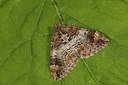 BUITEN BEELD Foto: 219111