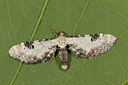 BUITEN BEELD Foto: 219126