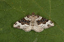 BUITEN BEELD Foto: 219153