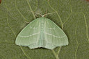 BUITEN BEELD Foto: 219154