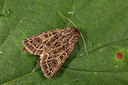 BUITEN BEELD Foto: 219208