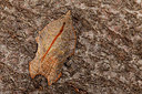 BUITEN BEELD Foto: 219217