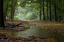 BUITEN BEELD Foto: 219230