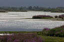 BUITEN BEELD Foto: 219241