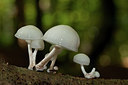 BUITEN BEELD Foto: 219263