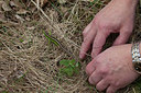 BUITEN BEELD Foto: 219274