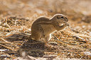 BUITEN BEELD Foto: 219337
