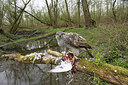 BUITEN BEELD Foto: 219351