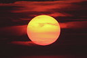 BUITEN BEELD Foto: 219363