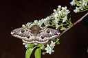 BUITEN BEELD Foto: 219413