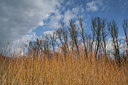 BUITEN BEELD Foto: 219418