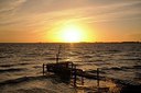 BUITEN BEELD Foto: 219441