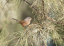 BUITEN BEELD Foto: 219536