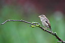 BUITEN BEELD Foto: 219544