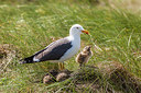 BUITEN BEELD Foto: 219577